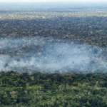 Estudo aponta atividade humana nas emissões de carbono na Amazônia