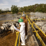 Pará movimenta R$ 74,8 bilhões no 2º trimestre e cresce 1,17% na economia