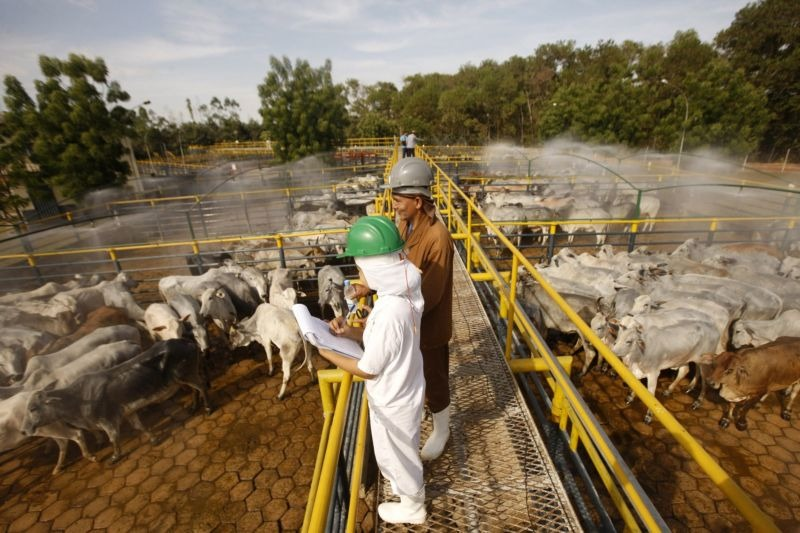 Pará movimenta R$ 74,8 bilhões no 2º trimestre e cresce 1,17% na economia