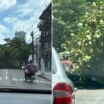 Árvore cai e atinge veículo no Pará
