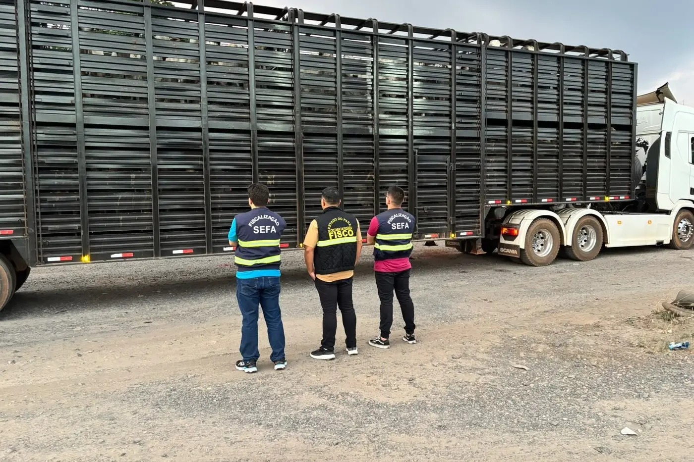 Sefa apreende 75 bovinos em Marabá
