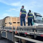 Sefa apreende carga de baterias avaliada em R$ 912 mil no Pará