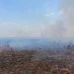 Incêndios de grandes proporções atingem áreas de floresta e propriedades rurais na PA-370